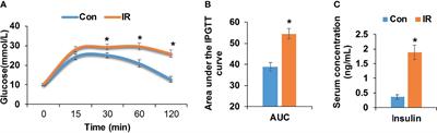 Exploring the Multi-Tissue Crosstalk Relevant to Insulin Resistance Through Network-Based Analysis